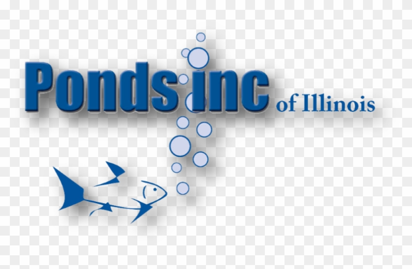 Pond Free Waterfalls - Illinois Clipart