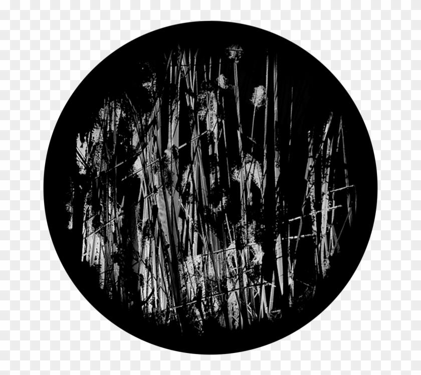 More Views - Chandelier Clipart