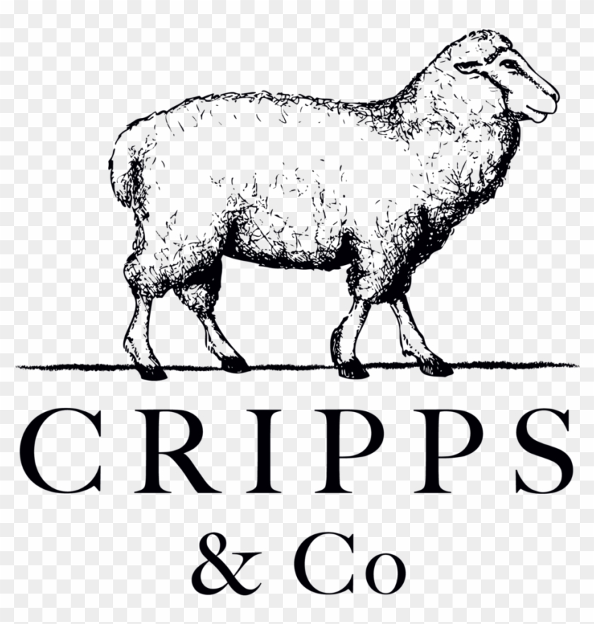 Indian Sheep Png Clipart #2101280