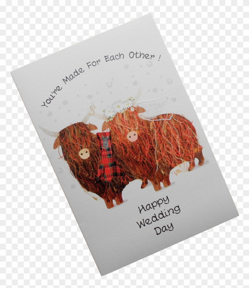 Wedding Highland Cows - Illustration Clipart