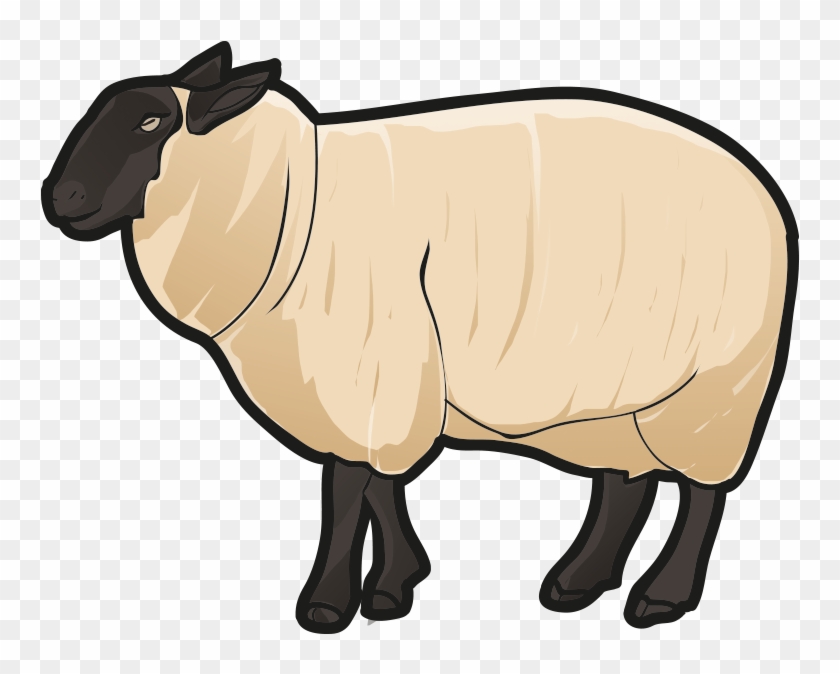 Sheep Clipart #2101457