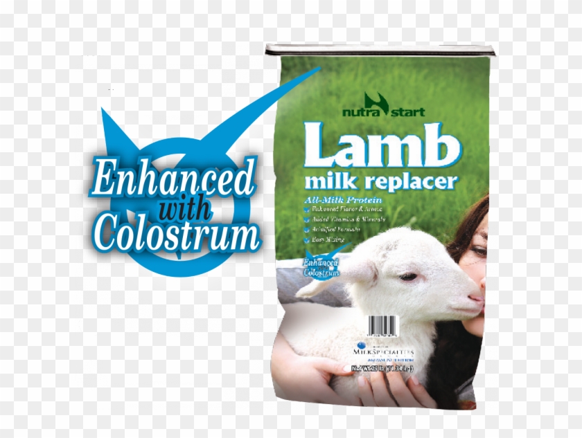Lamb Milk Replacer Clipart