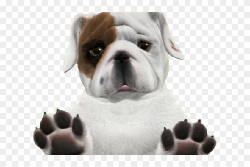 Bulldog Png Transparent Images - Foopets Bulldog Clipart