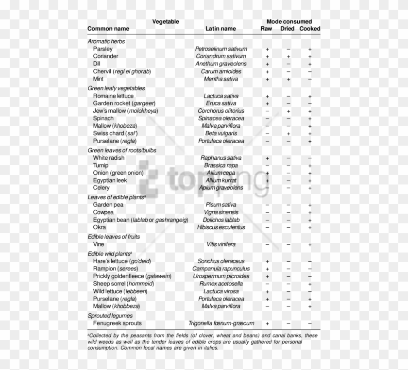 Free Png List Of Green Leafy Vegetables Png Image With - List Of Green Leafy Vegetables Clipart