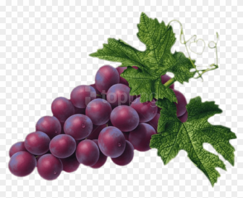 Free Png Red Grape Png - Grape Png Clipart #2102243