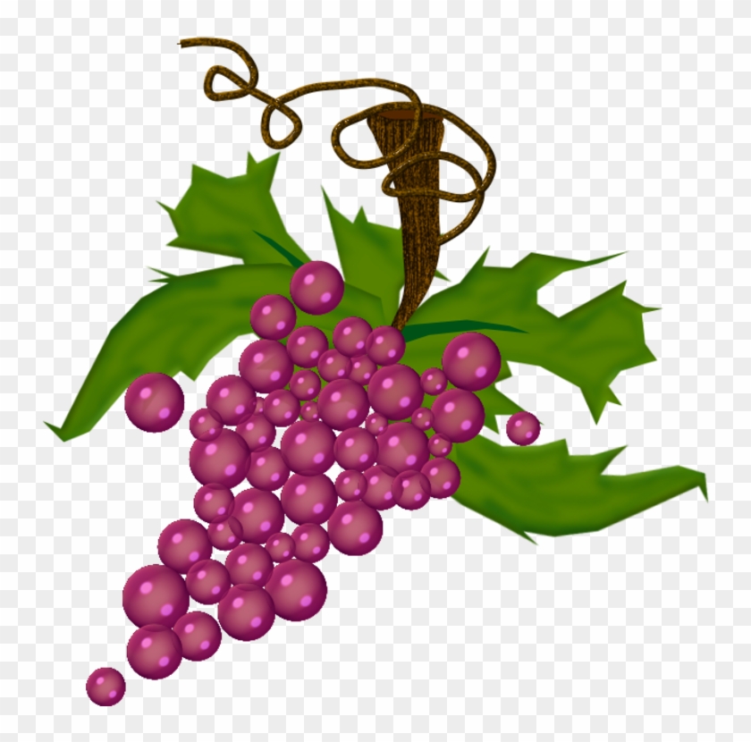 800 X 759 3 - Winogrono Png Clipart