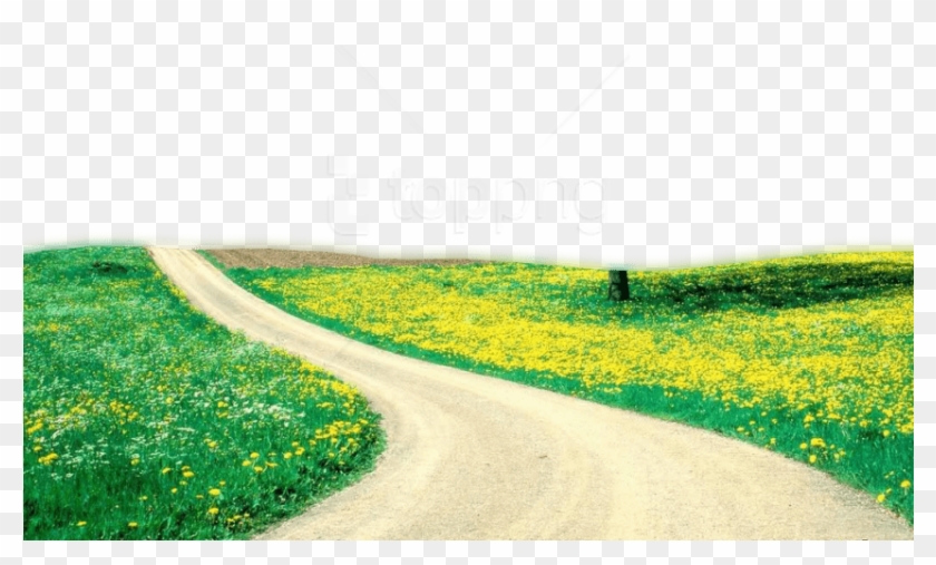 Free Png Download Nature Png Images Background Png - Field Of Flower Hd Clipart
