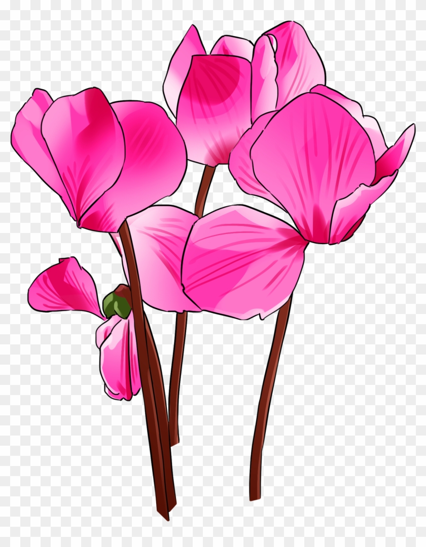 手绘盛开的紫色仙客来 - Psd Clipart #2102902