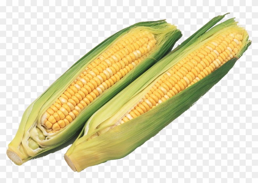 1885 X 1385 9 - Qua Bap Clipart