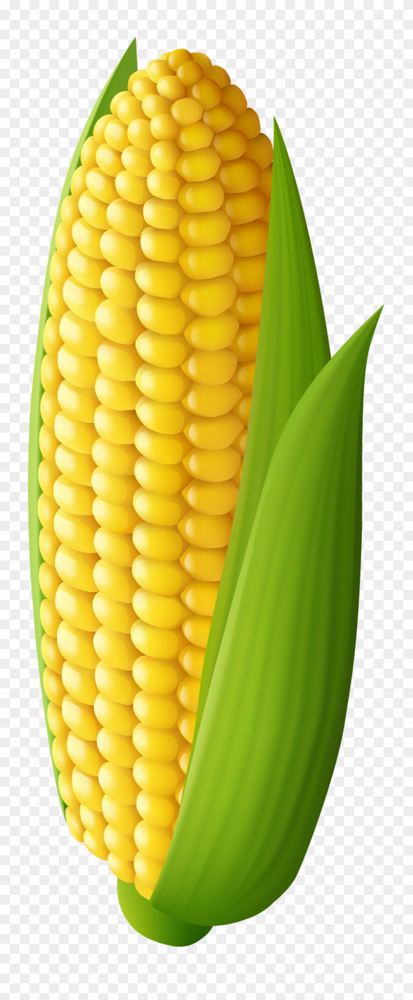 Corn On The Cob Clipart - Png Download #2103587