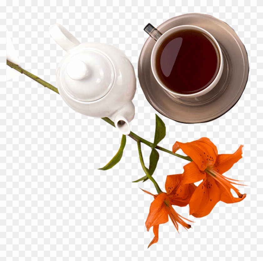 Catalog/black Tea/mango Dolce T - Rose Clipart