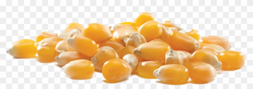 Product Pile Image - Trails End Popping Corn Clipart