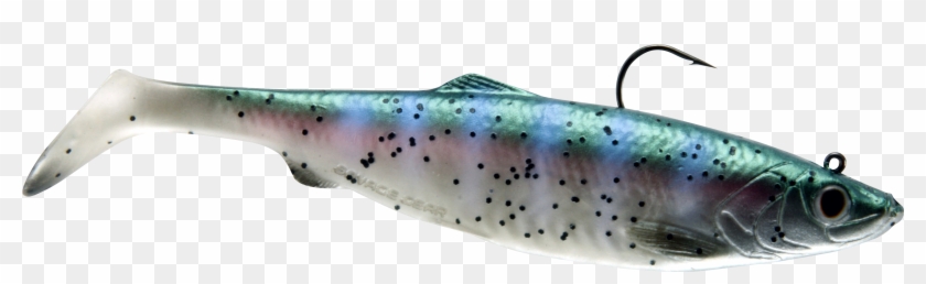 Real Herring Shad Pre Rigged - Trout Clipart