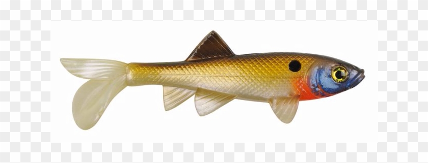 For Some Topwater Action, The Top Lures Were The Halco - Goldfish Clipart #2105805