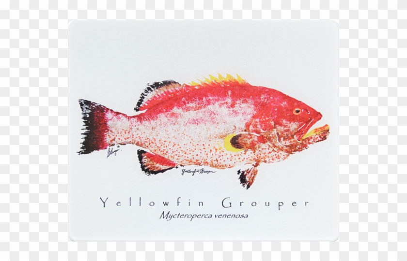 Realfish Gyotaku Series - Rock Cod Clipart