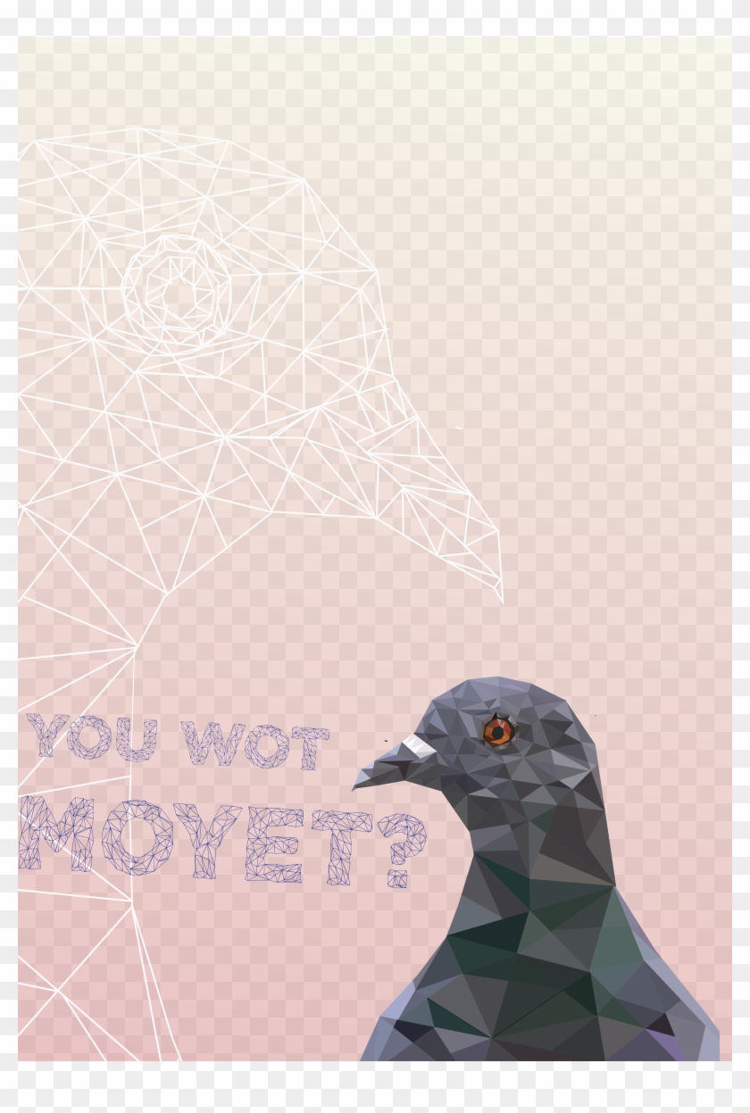 Pigeon - Stock Dove Clipart