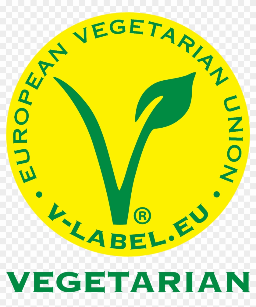 Png - Circle Clipart