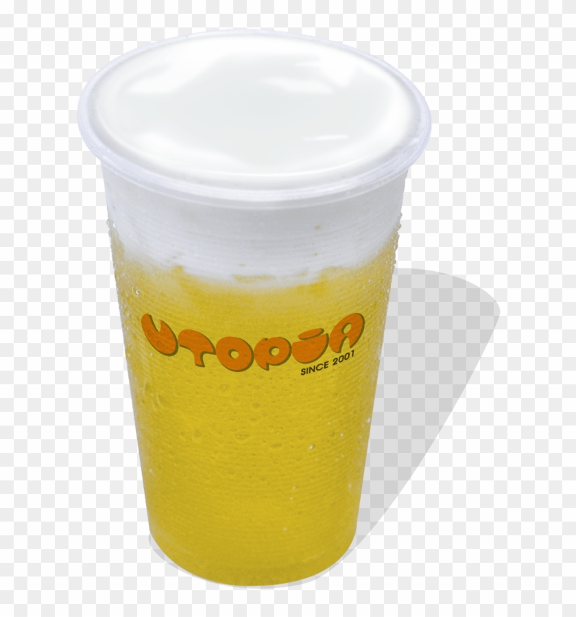 Camellia Green Tea - Pint Glass Clipart