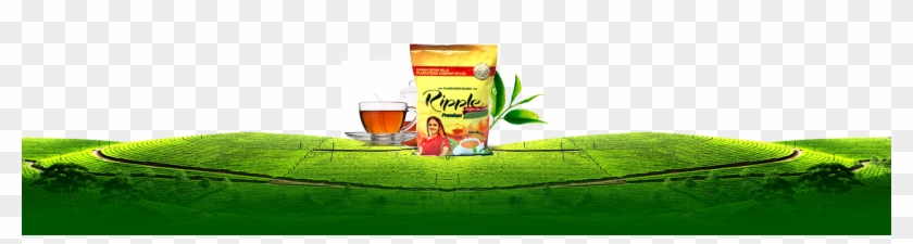 About Us Bg - Kannan Devan Tea Logo Clipart