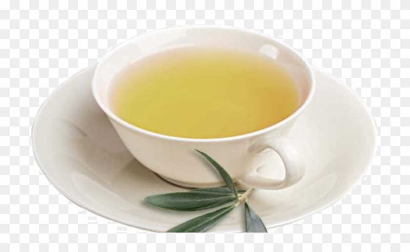 Olive Tea - Olive Leaf Tea Clipart