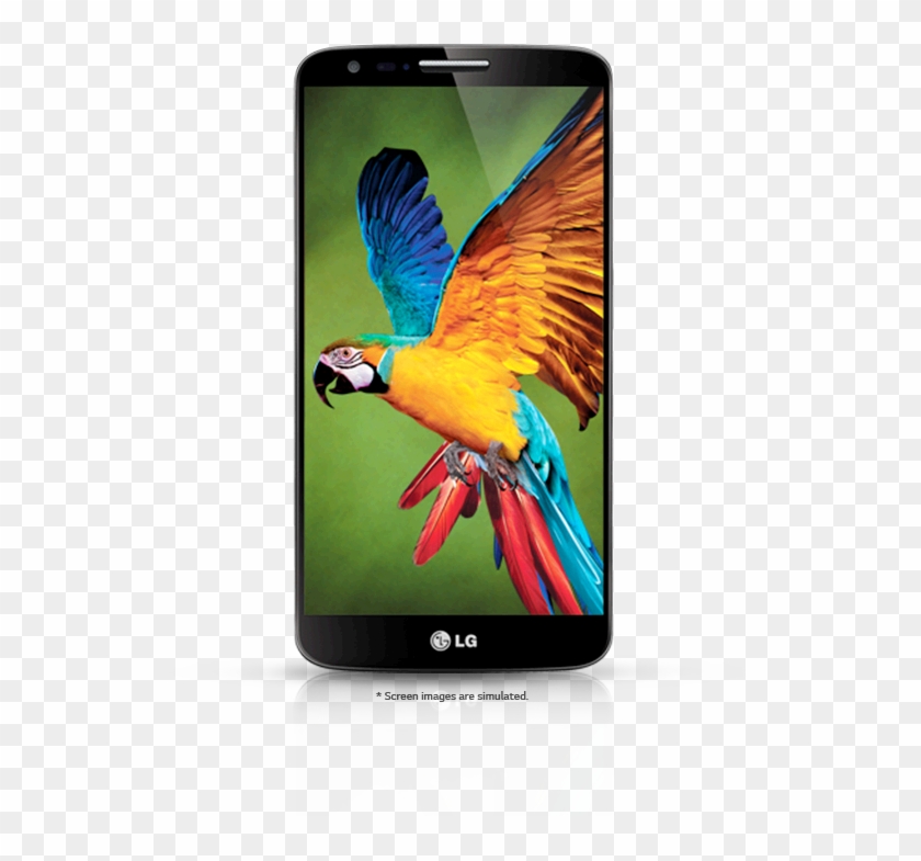 Lg G2 Png Clipart