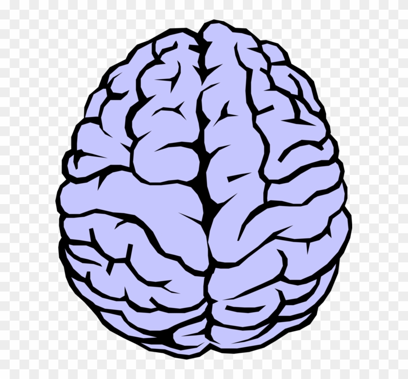 Human Brain Vector - Transparent Clipart Of Brain - Png Download