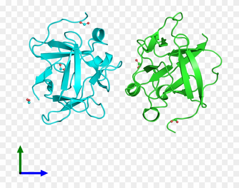 Pdb 3fj9 Coloured By Chain And Viewed From The Front - Illustration Clipart