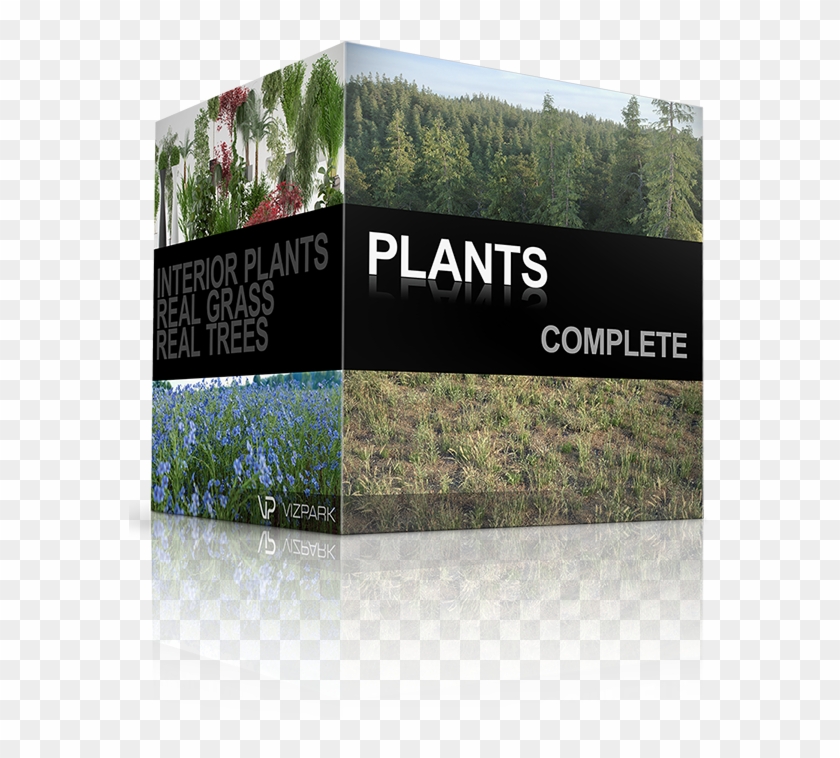 Including Real Trees I, Real Trees Ii, Real Shrubs, - Tree Clipart #2112798