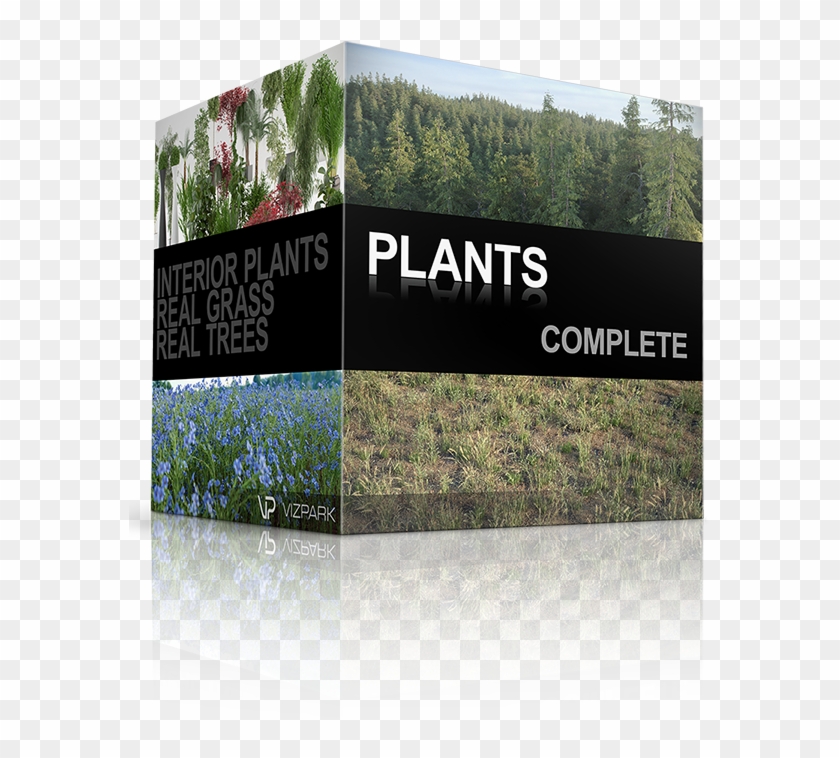 Including Real Trees I, Real Trees Ii, Real Shrubs, - Tree Clipart