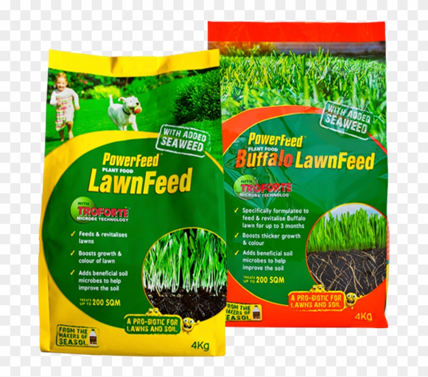 Autumn Tips For Lawn Care Clipart #2112892