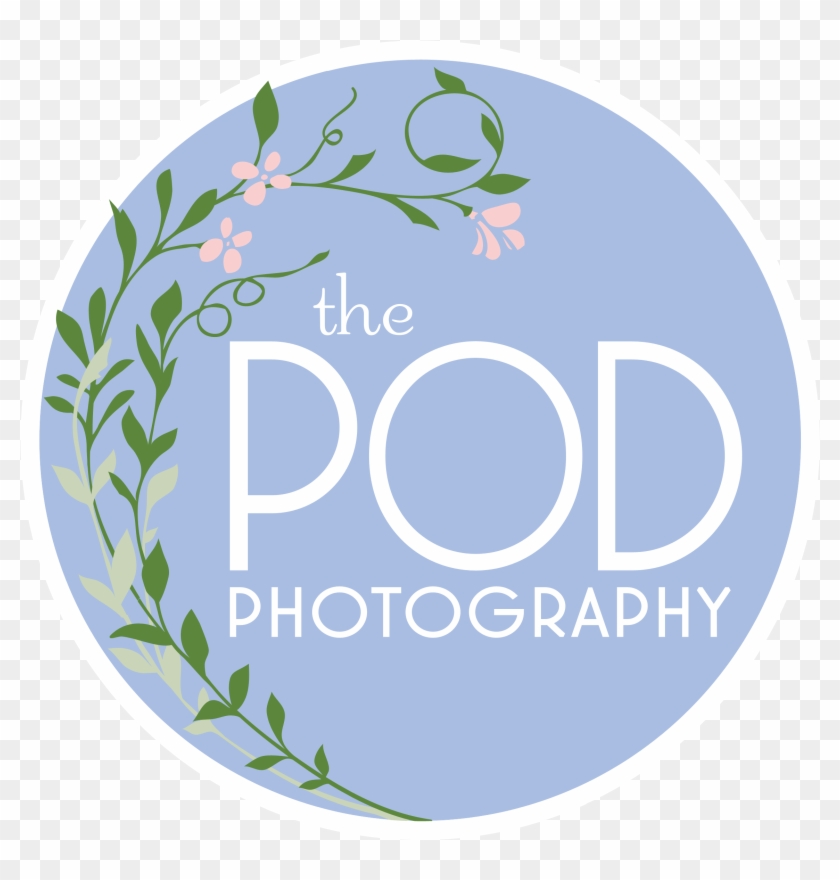 Los Angeles Based Photo Studio, The Pod Photography, - Circle Clipart