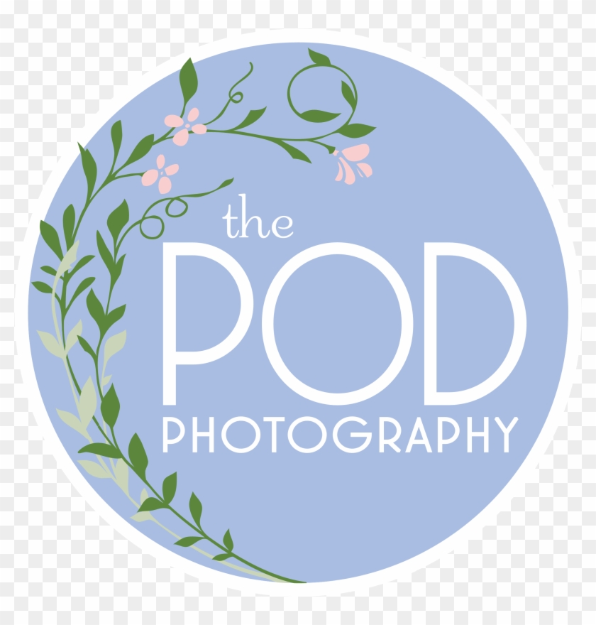 Los Angeles Based Photo Studio, The Pod Photography, - Circle Clipart #2113123