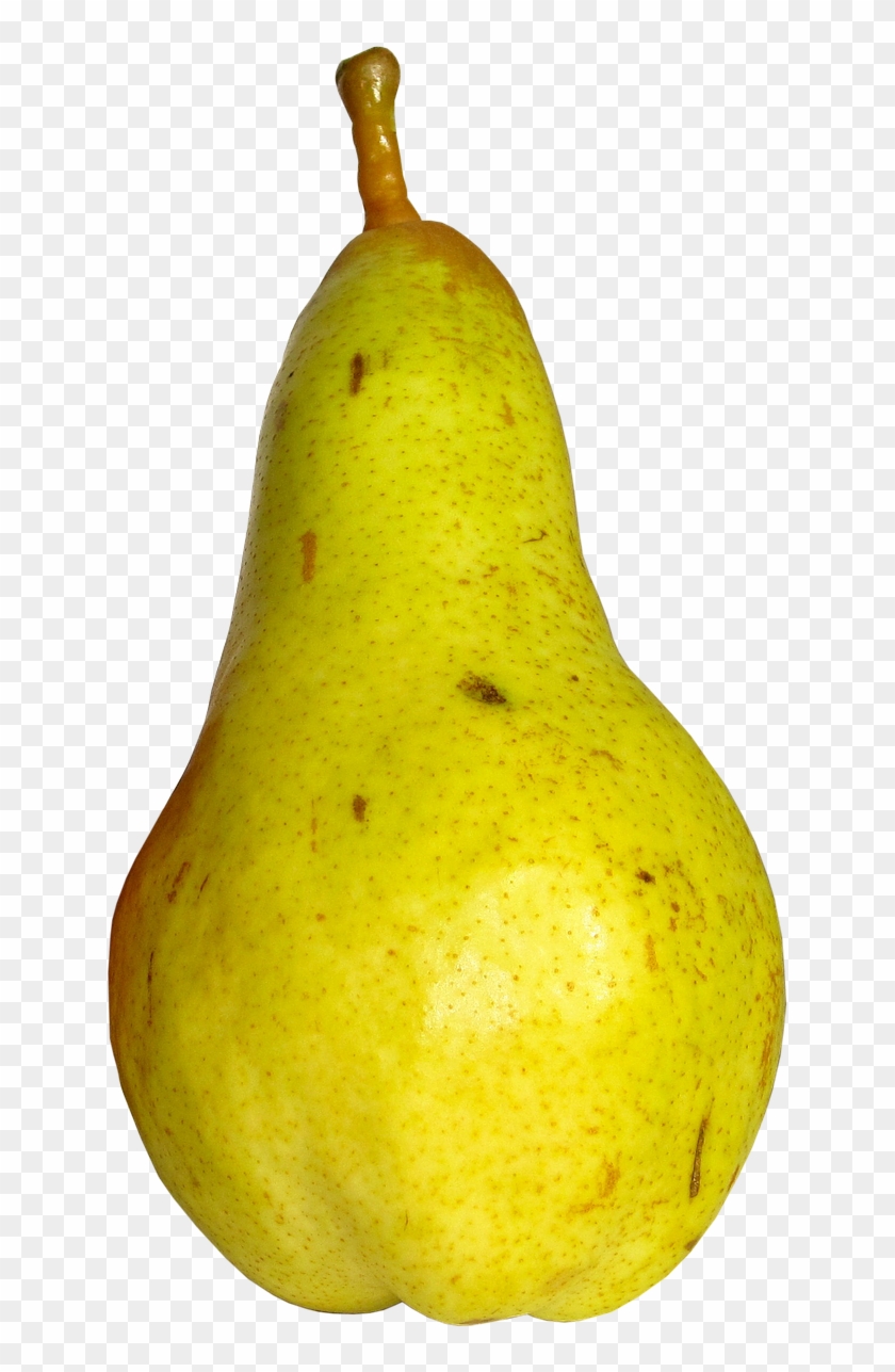 Hruška Png Clipart