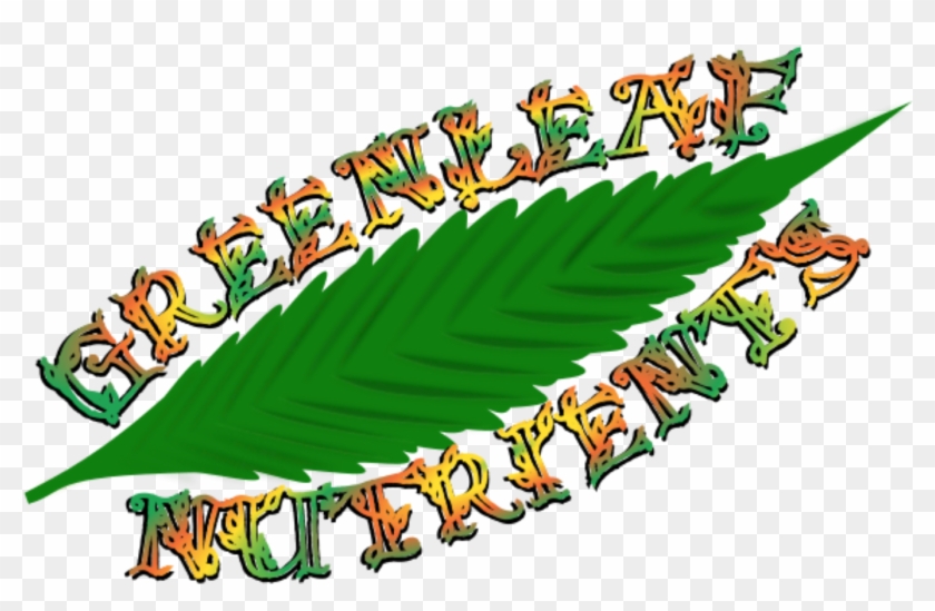 Greenleaf Nutrients By Your Weed Coupons - Greenleaf Nutrients Clipart