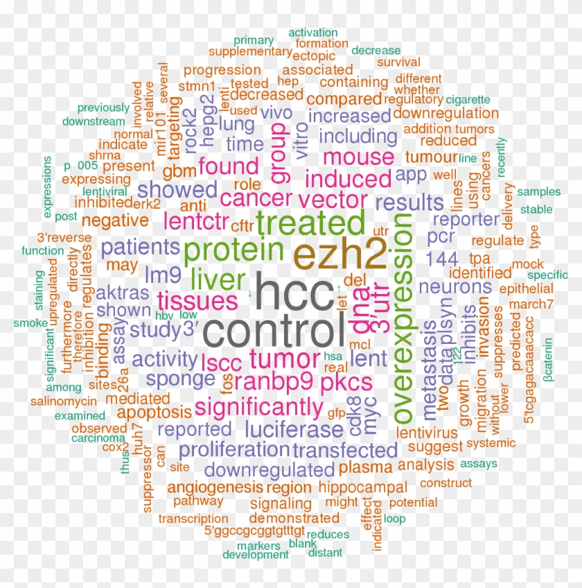 Sort By - Keyword Cloud Clipart