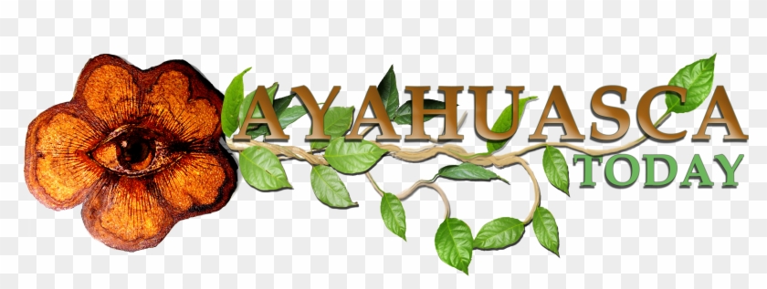 Gourd Clipart #2115805