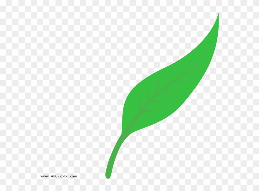 Leaf Shapes Clipart & Leaf Shapes Clip Art Images - Leaf Figure - Png Download #2115863