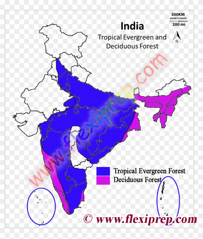 Tropical Evergreen Forest In India Map From Flexiprep - Map Of India Clipart #2117122