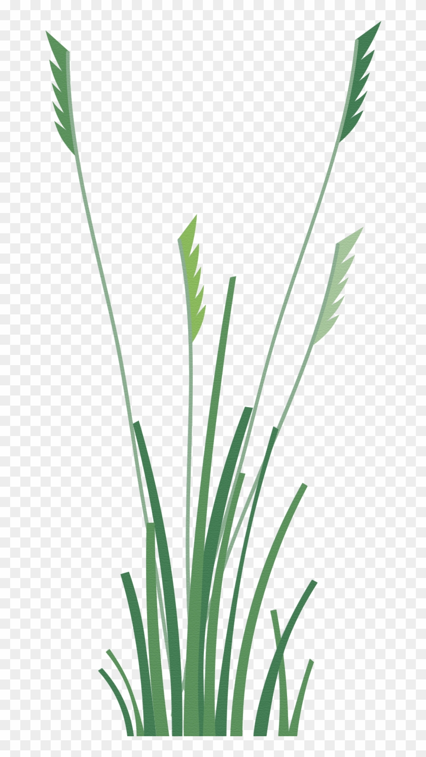 Vector Trees & Exterior Plants - Sweet Grass Clipart