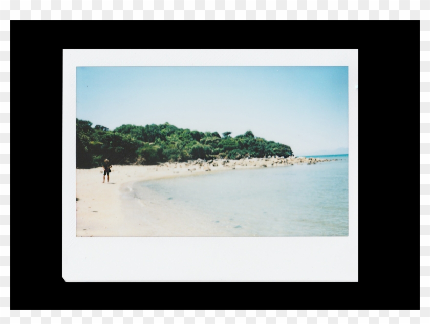 Photograph Png Clipart