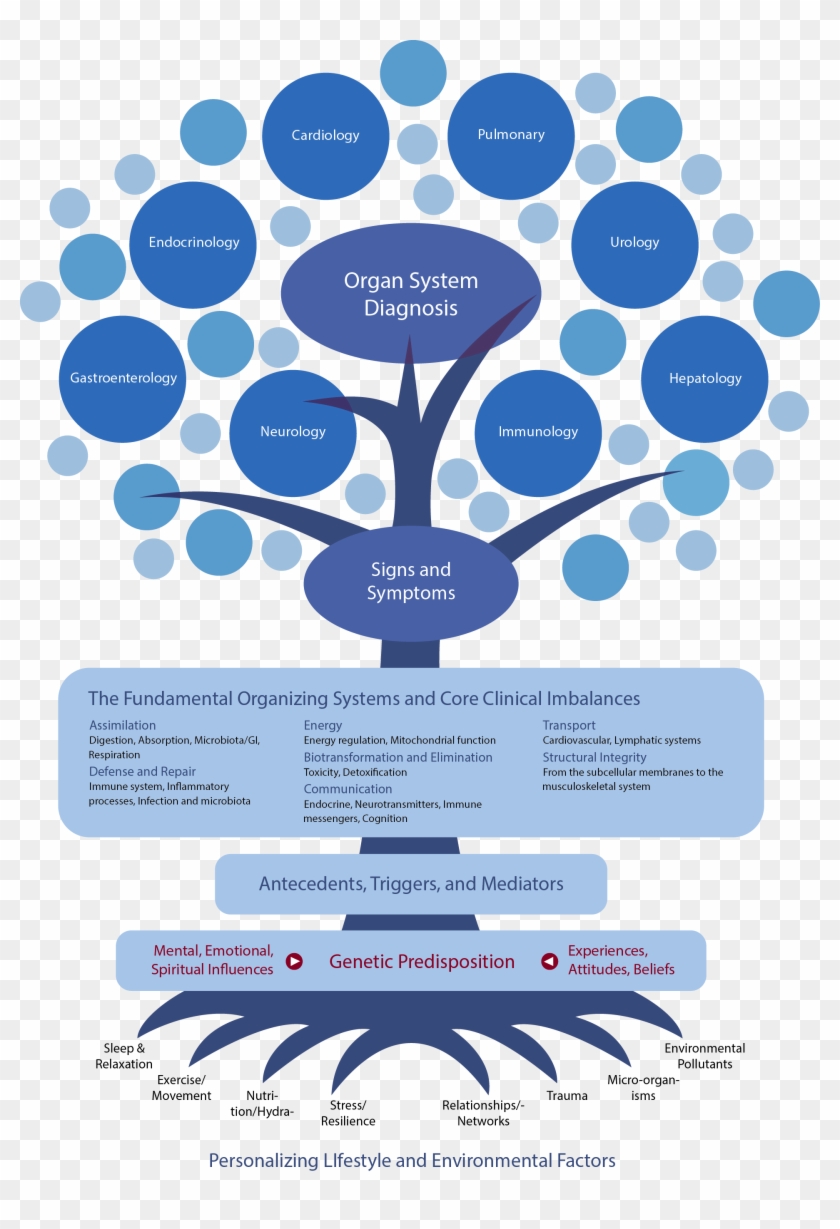 Functional Health Vs Clipart #2122030