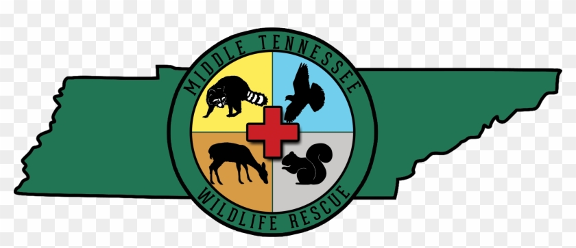 Middle Tennessee Wildlife Rescue - Ender's Game Clipart