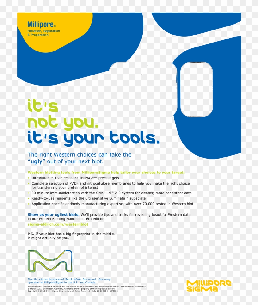 Back Issues - Millipore Sigma Clipart #2122364