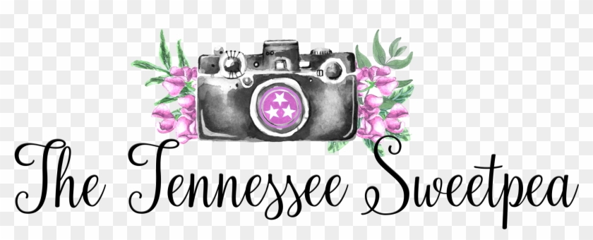 Volunteer Traditions Clipart #2122444