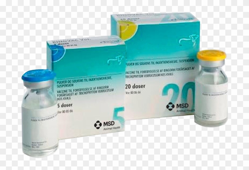 Ring Worm Best Injection For Ringworm Clipart (2122760) PikPng