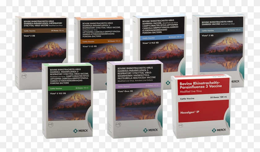 Vista® Vaccines - Tablet Computer Clipart