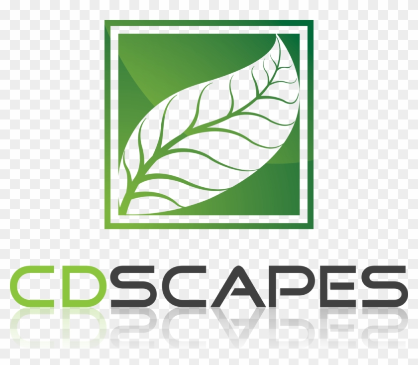 Cd Logo Png Clipart