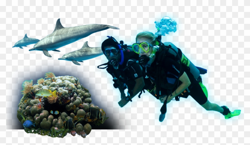 Underwater Clipart