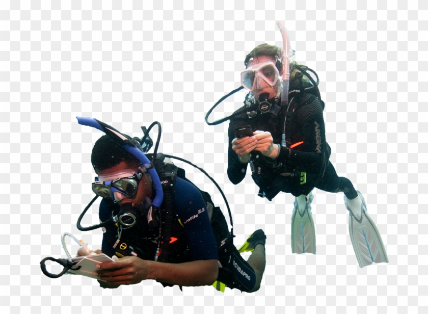 Diver Png - Water Diver Png Clipart