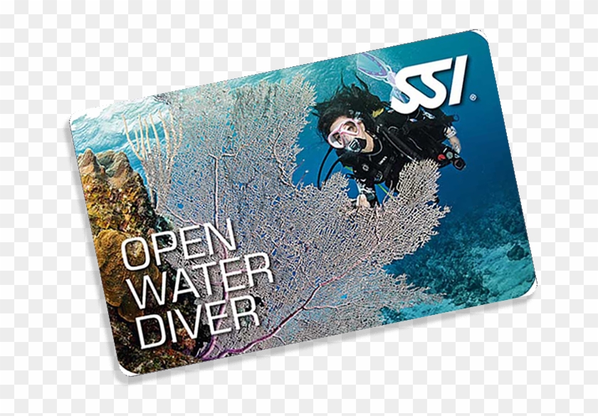 Become A Certified Scuba Diver - Open Water Diver Ssi Clipart